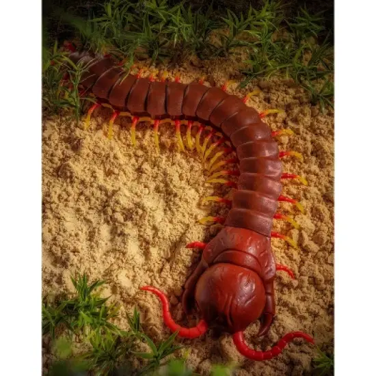 TERRA by Battat Remote Control Centipede image {7}