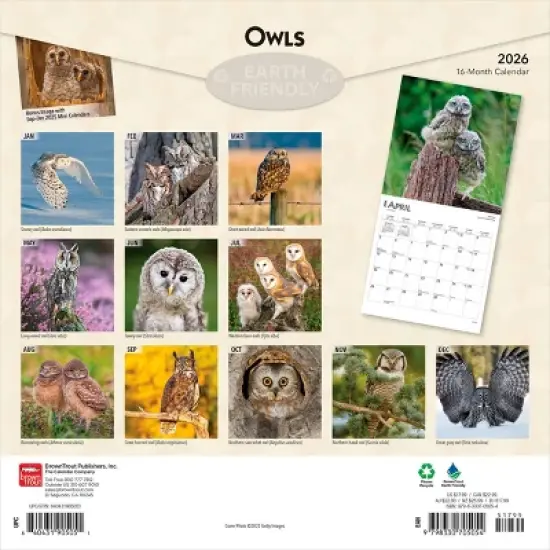 BrownTrout 2026 Owls 12"x24" Hanging Square Wall Calendar Plastic-Free image {1}