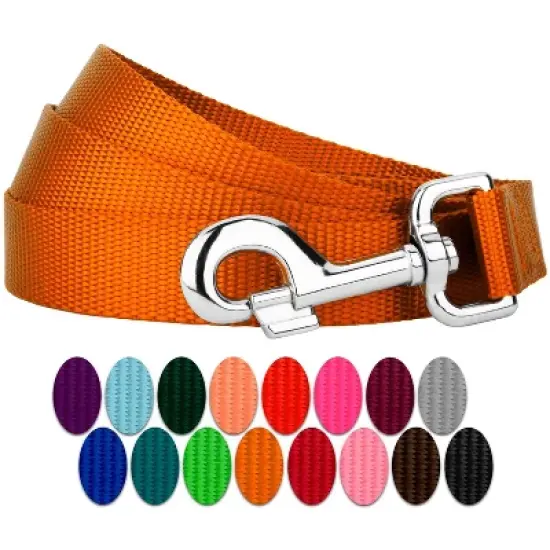 Country Brook Petz 6ft By 3/4 Inch Heavyduty Doublehandle Nylon Leash image {17}