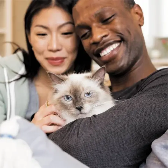 IAMS Proactive Health Indoor Weight & Hairball Care with Chicken & Turkey Adult Premium Dry Cat Food image {4}