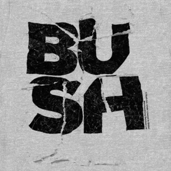 Women's Bush Ripped Logo T-Shirt image {1}