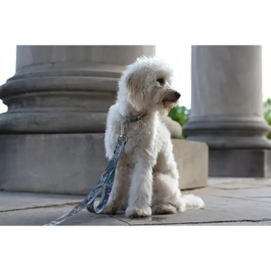 Country Brook Petz Premium Mountain Viper Camo Dog Collar image {1}