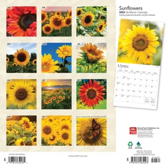 Browntrout 2024 Wall Calendar 12"x12" Sunflowers image {1}