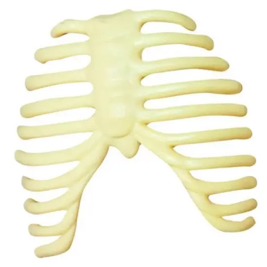 The Purple Cow The Human Body Advent Calendar: Educational Paper & Cardboard Winter Display image {13}