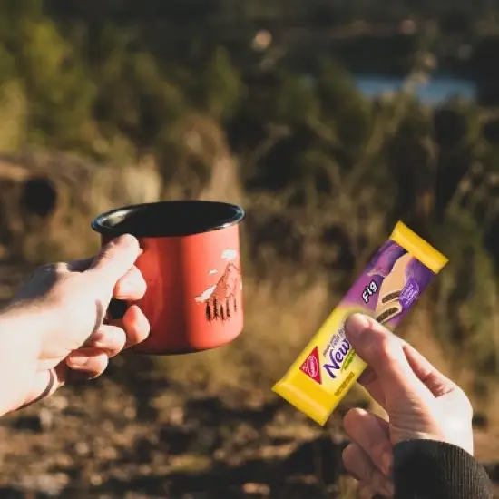 Newtons Fig Fruit Chewy Cookies Snack Pack - 20oz/10ct image {6}