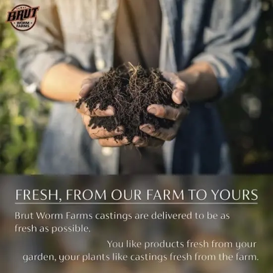Brut Worm Farms Organic Worm Castings Soil Builder image {3}