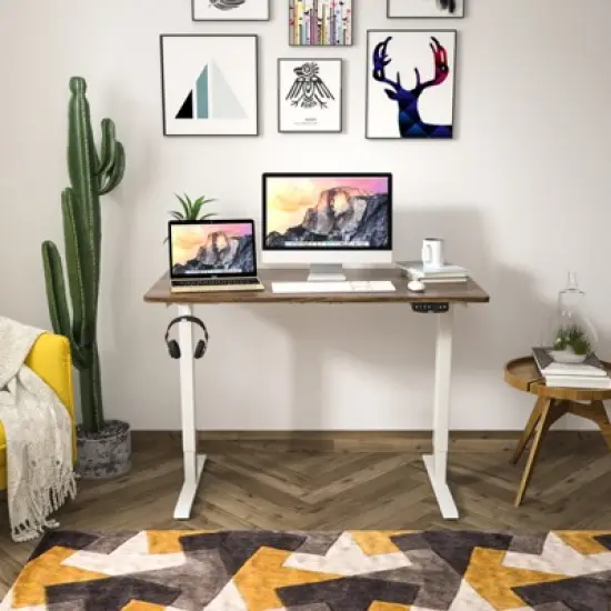 Costway Electric Adjustable Standing up Desk Dual Motor w/ Controller image {3}