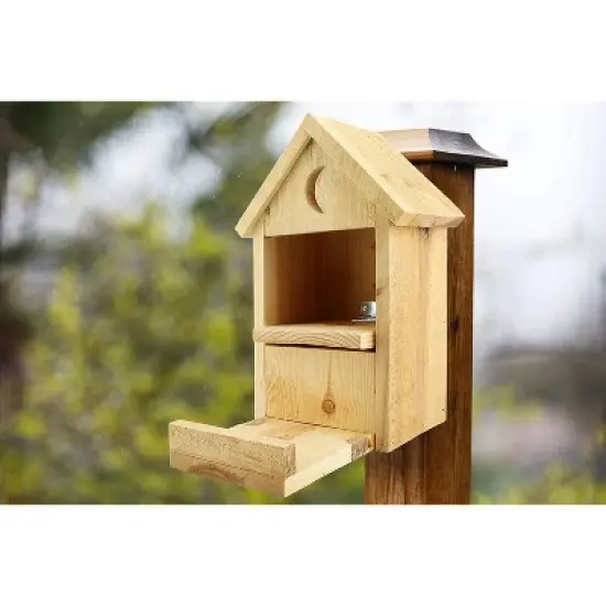 Uncle Dunkels Outhouse Squirrel Feeder; Rustic Handmade Wooden Squirrel Food Dispenser Box image {3}