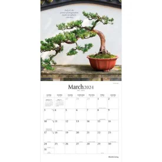 Brush Dance 2024 Wall Calendar 12"x12" Mindful Living image {2}
