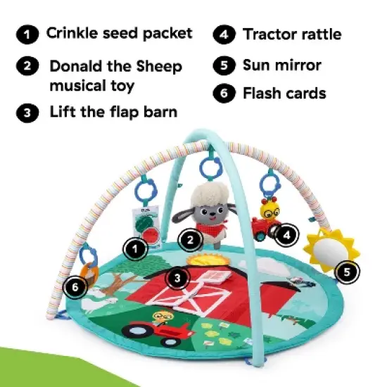 Baby Einstein Happy Harvest Touch & Feel Activity Gym image {2}