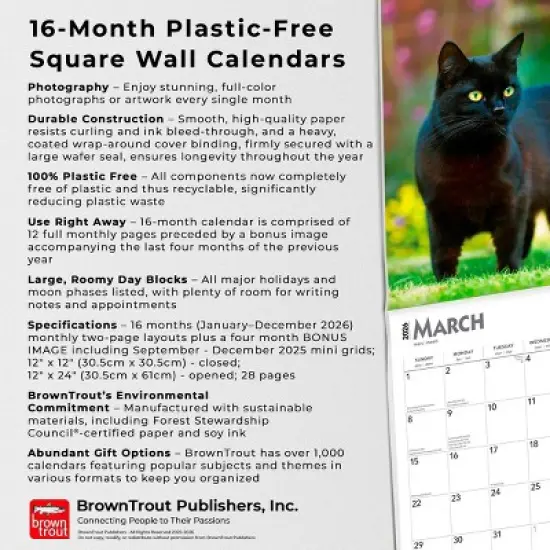 BrownTrout Black Cats 2026 12"x24" Hanging Square Wall Calendar Plastic-Free image {5}
