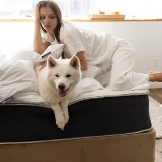 Lincove 12 Inch Spring Hybrid and Memory Foam Mattress - Medium Firm Mattress CertiPUR-US Certified - Adaptive Support, Pressure Relief - Made in USA image {9}