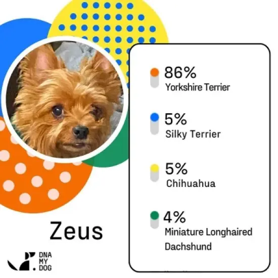 DNA My Dog Essential Dog Breed ID Test Kit image {2}