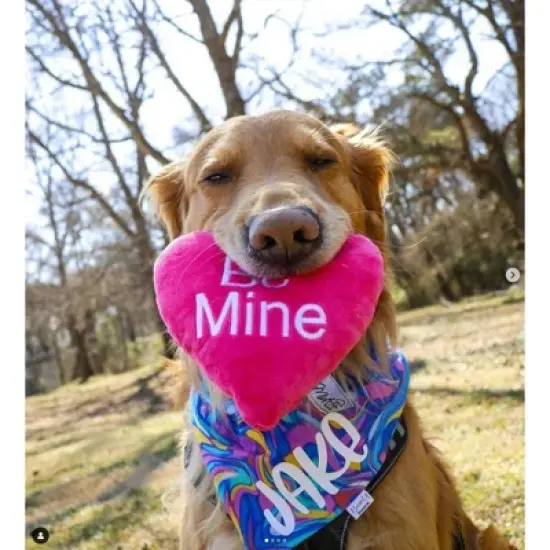 Midlee Candy Heart Valentine's Dog Toy- Set of 4 image {2}