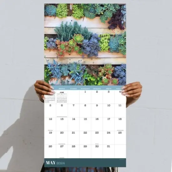 TF Publishing 2024 Wall Calendar 12"x12" Succulents image {3}