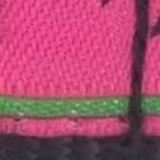 The Worthy Dog Watermelon Dog Collar image {2}