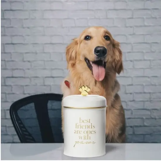Amici Pet Stella Metal Treats Storage Canister, Cylindrical Shape with Gold Paw Shaped Knob, Food Safe, Push Top Lid, 64 Ounce Capacity image {2}