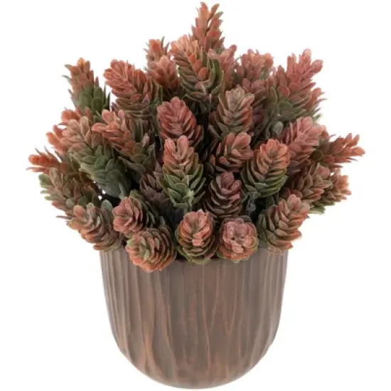 Northlight 8" Two-Tone Wild Flower Artificial Plant in a Textured Lined Pot image {2}