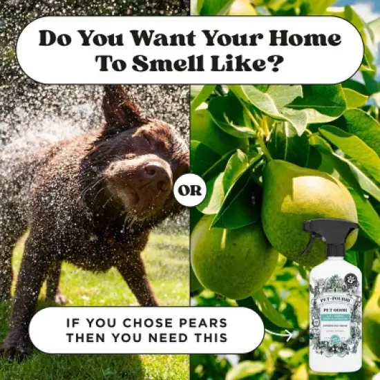 Poo-Pourri Pet Odor Refresher Pawsitivly Fresh Scented Air Freshener - 16 fl oz image {8}