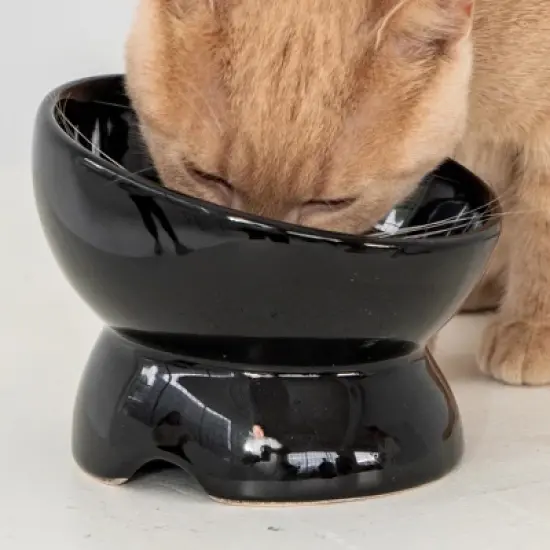 Dexypaws: Elevated Ceramic Cat Bowl, Black, 7oz, Pet Feeding Dish image {5}