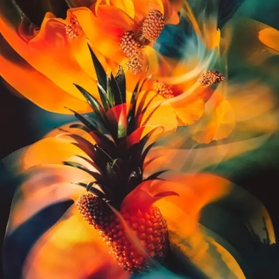 fine'ry. Men's Eau De Travel Size Cologne - Ultra - 2 fl oz image {5}