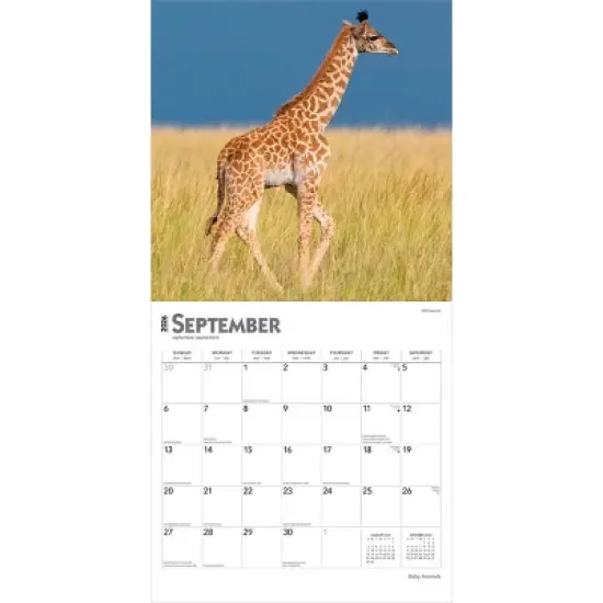 BrownTrout Baby Animals 2026 12"x24" Hanging Square Wall Calendar Plastic-Free image {3}