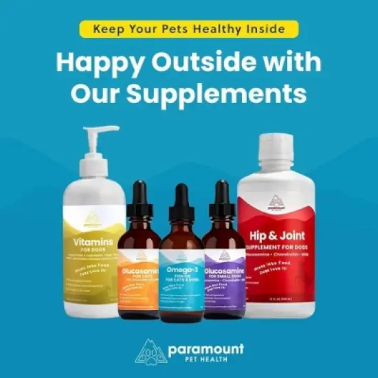 Liquid Glucosamine for Small Dogs, 260mg Glucosamine Liquid for Joint Supplement Mobility & Comfort, Easy-to-Use Liquid MSM & Chondroitin, 2 oz image {1}