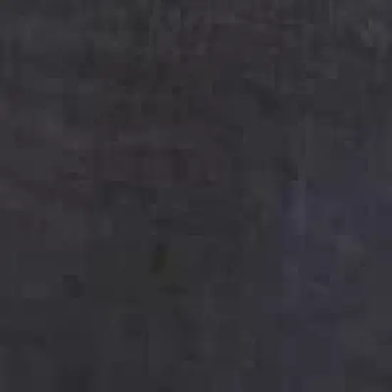 Petique Pet Backpacker, Pet Carrier for Small Size Pets, Ventilated Backpack Bag for Cats & Dogs image {2}