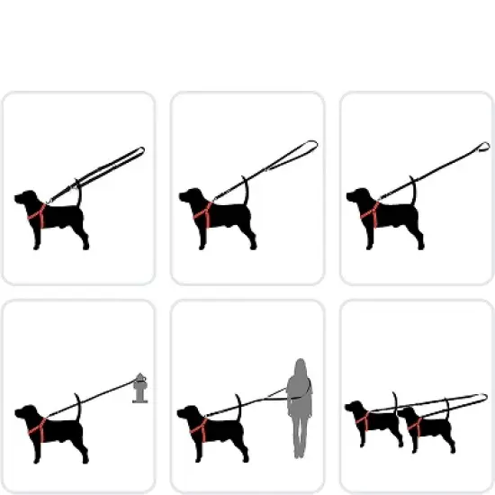 DDOXX 6.6 ft 3-Way Adjustable Extra Medium Nylon Dog Leash - Pink image {3}