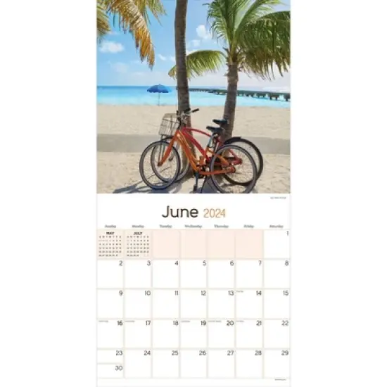TF Publishing 2024 Wall Calendar 12"x12" Beach Life image {1}