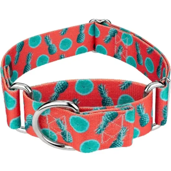 Country Brook Petz 1 1/2 Inch Tropical Tango Martingale Dog Collar image {4}