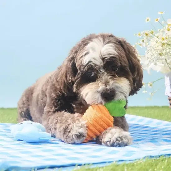 BARK Easter Harriet and Carrot Dog Animal Plush Toy - 2pc image {4}
