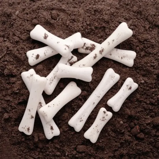 Yellow Door Dinosaur Bones Match & Measuring Set image {2}