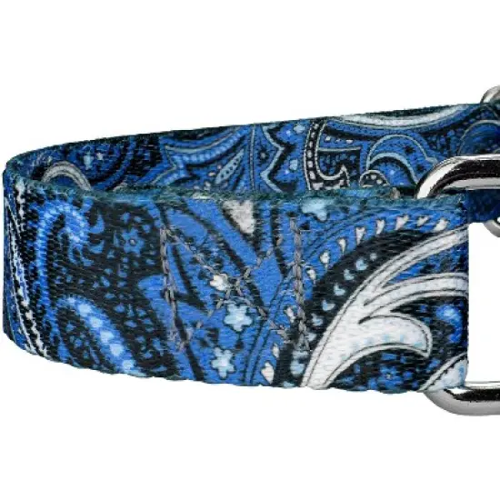 Country Brook Petz Martingale Dog Collar - Paisley Collection image {4}