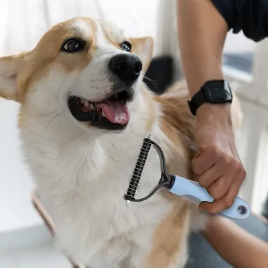 Unique Bargains Pets Grooming Supplies 6.69"x3.54" Blue 1 Pc image {5}