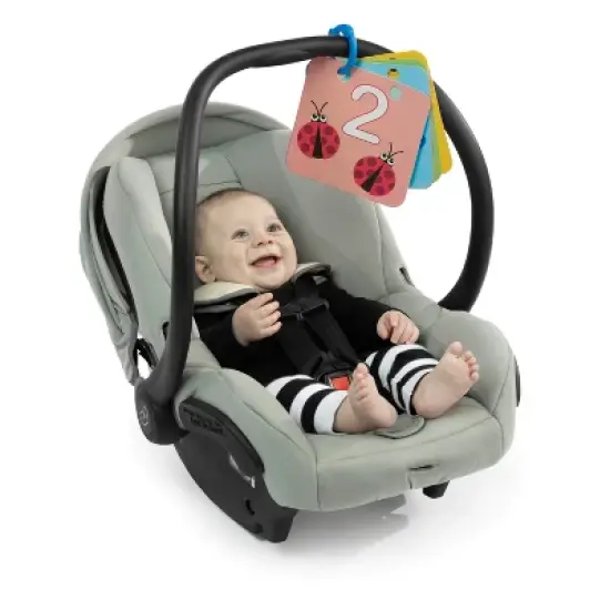 Baby Einstein Discover Garden Tummy Time Baby Playmat and Mirror image {1}