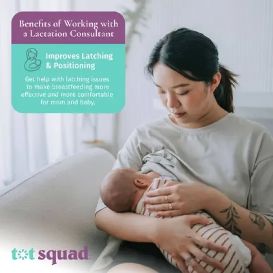 Breastfeeding Support & Consultation with a Certified Lactation Expert - Baby Registry Essentials by Tot Squad image {1}