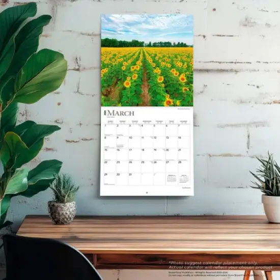BrownTrout Sunflowers 2026 12"x24" Hanging Square Wall Calendar Plastic-Free image {4}