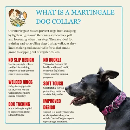 Country Brook Petz Martingale Dog Collar - Attitude Collection image {5}