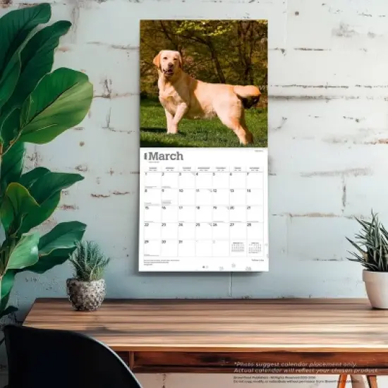 BrownTrout Yellow Labrador Retrievers 2026 12"x24" Hanging Square Wall Calendar Plastic-Free image {4}