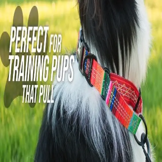 Leashboss Pattern Martingale Dog Collar, Reflective No-Pull Training Collar for Puppies and Dogs image {6}