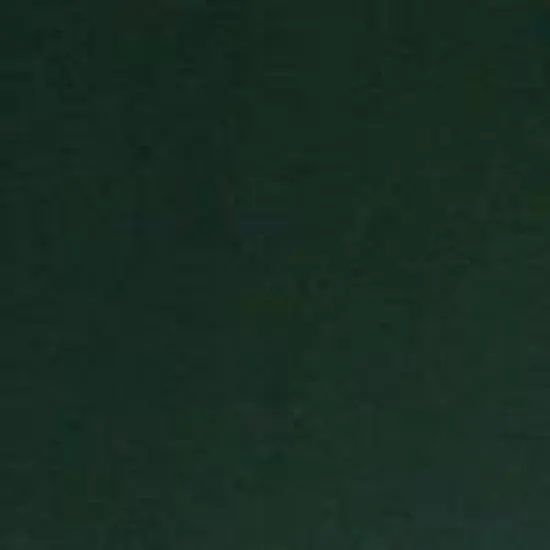 Vickerman LED Wide Angle Battery Operated Christmas Light set image {2}