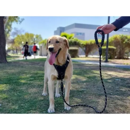 WOPET 6.5 ft Reflective Rope Dog Leash with Padded Handle for Small Medium and Large Dogs image {4}