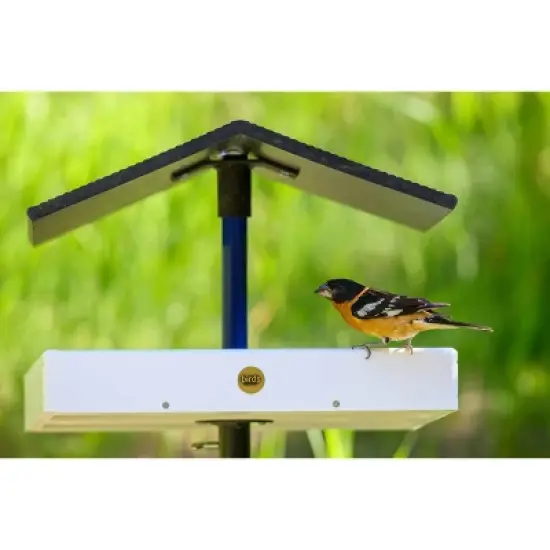 Bird Choice Modern Farmhouse Seed Catcher Platform Pole Mountable Tray Bird Feeder 2.5" White image {4}