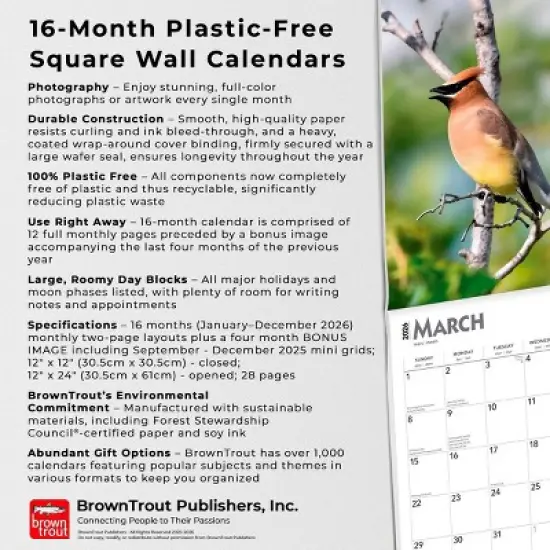 BrownTrout Songbirds 2026 12"x24" Hanging Square Wall Calendar Plastic-Free image {5}