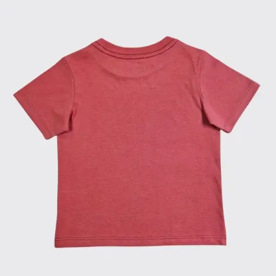 Toddler Boys' Bluey Short Sleeve T-Shirt - Red image {1}