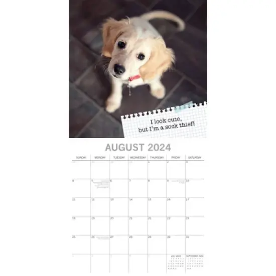 The Gifted Stationery 2024 Square Wall Calendar, Dog Shaming, 16-Month Humor Theme with 180 Reminder Stickers (12 x 12 In) image {2}