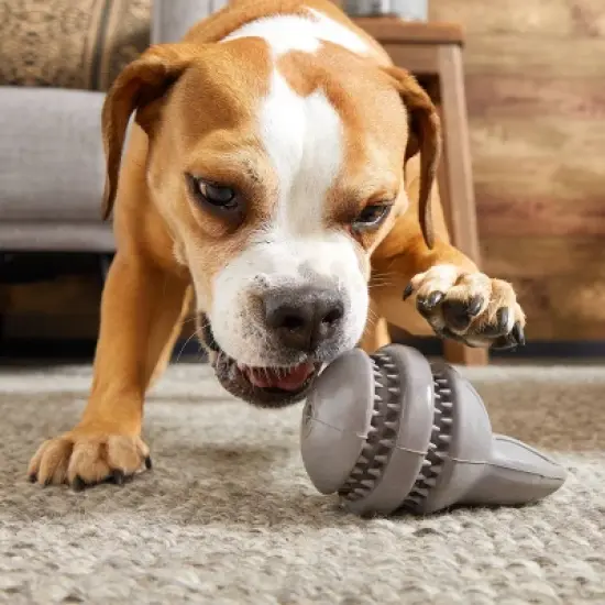 BARK Super Chewer Rubber Rabbit Dog Toy - Hare Raiser image {4}