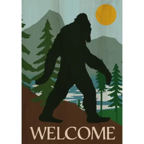 Briarwood Lane Everyday House Flag 40x28 For Outdoor Bigfoot Welcome House Flag image {4}