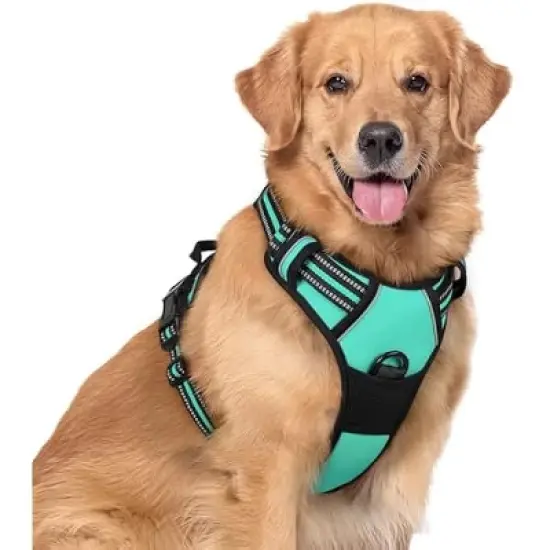 rabbitgoo Dog Harness image {5}
